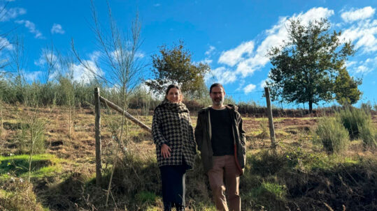 Un bosque comestible para un turismo sostible en Pazos de Borbén